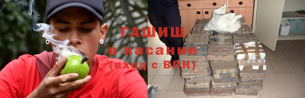 гидра Абаза