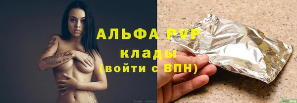 гидра Абаза