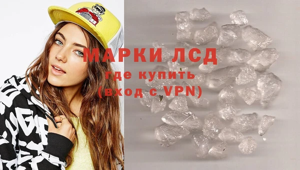гидра Абаза